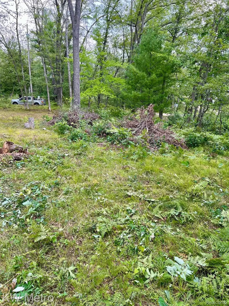 6629 S Tampa Yates Township MI 49642