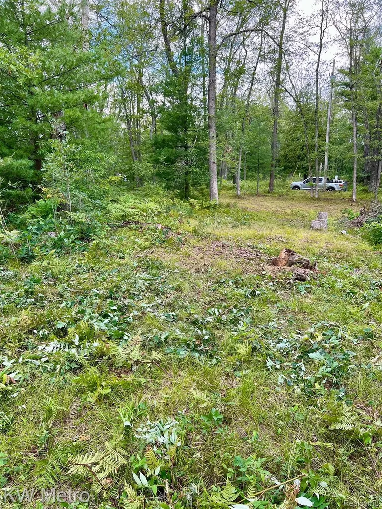 6629 S Tampa Yates Township MI 49642