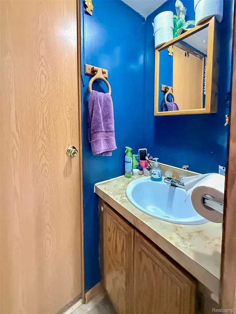 435 Rustic Lane S Sumpter Township MI 48111