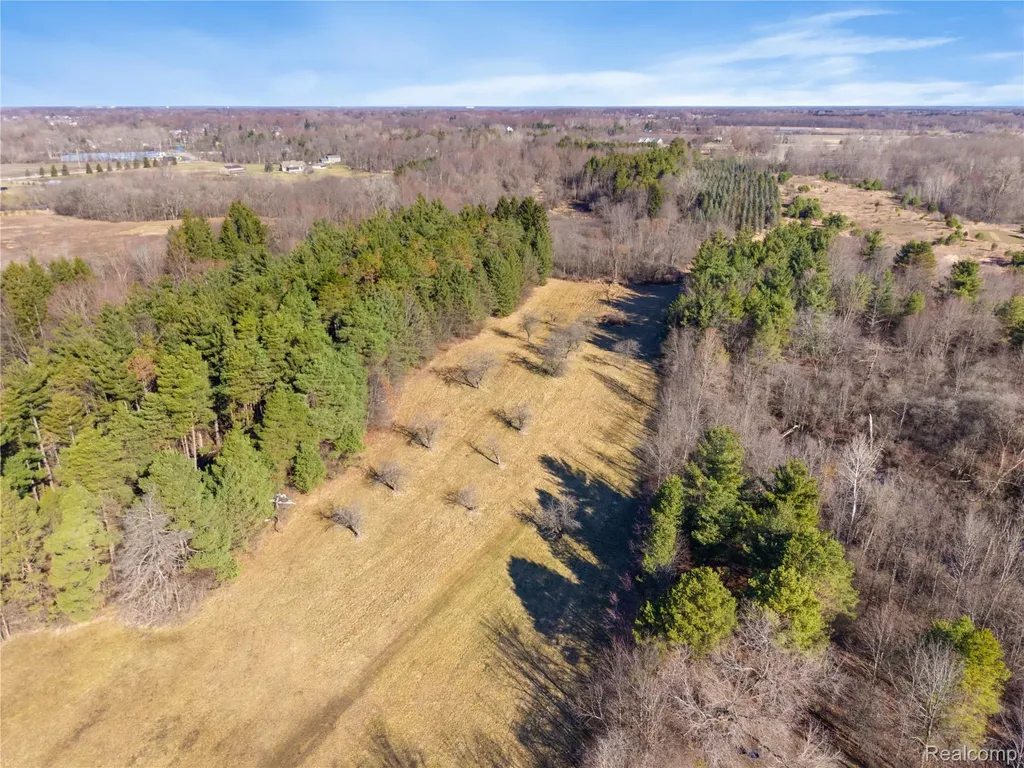 7163 Burpee Road Atlas Township MI 48439