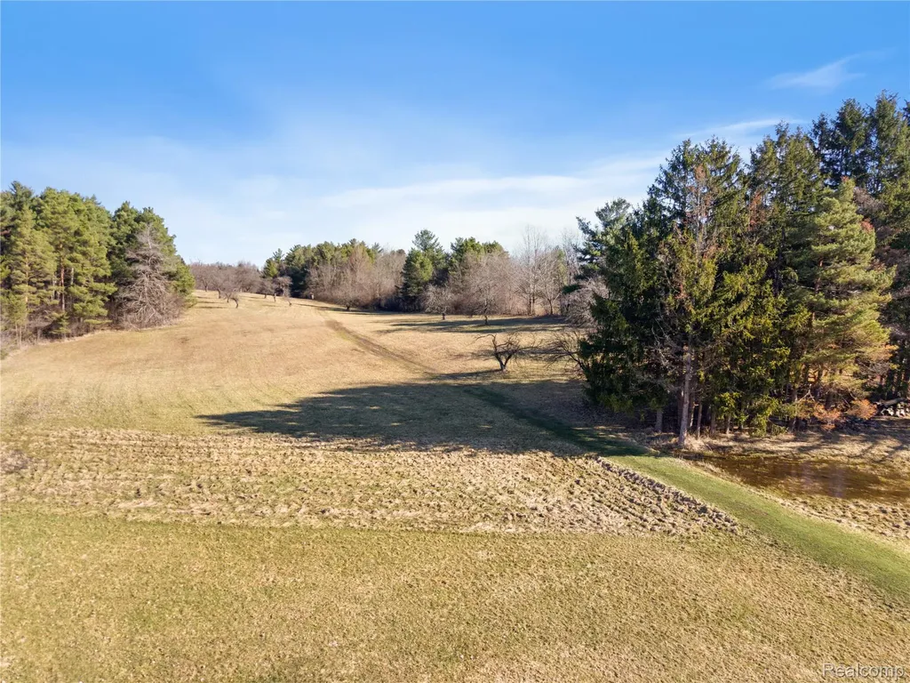 7163 Burpee Road Atlas Township MI 48439