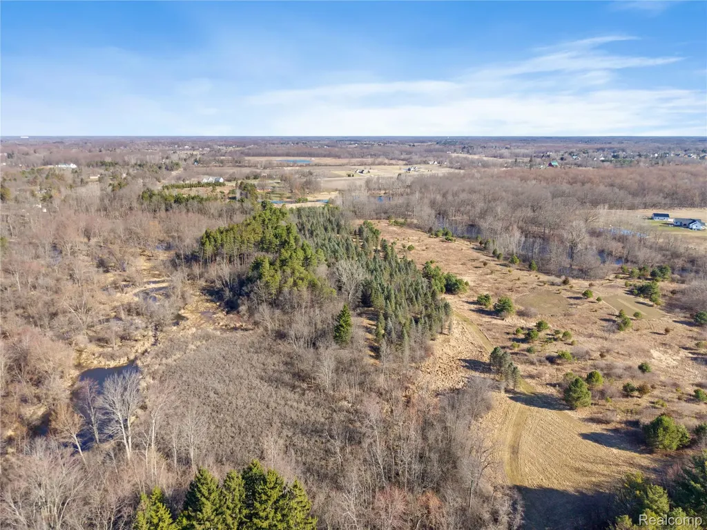 7163 Burpee Road Atlas Township MI 48439