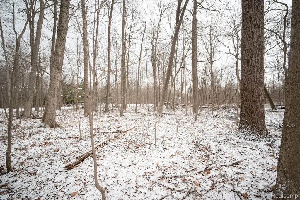 0 Abi Court Salem Township MI 48170
