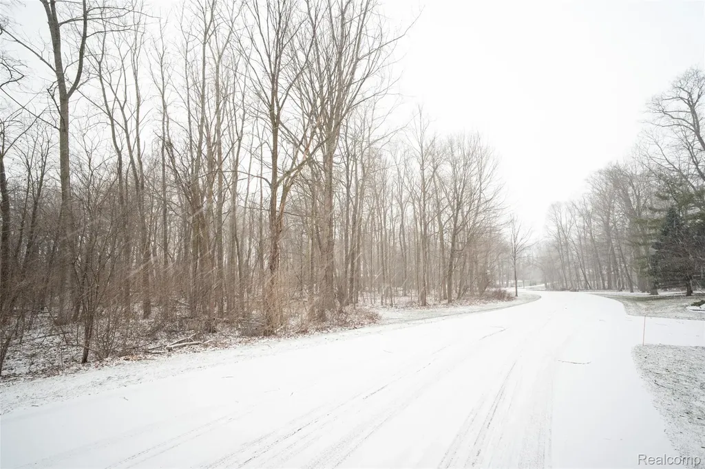 0 Abi Court Salem Township MI 48170