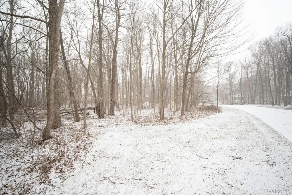 0 Abi Court Salem Township MI 48170