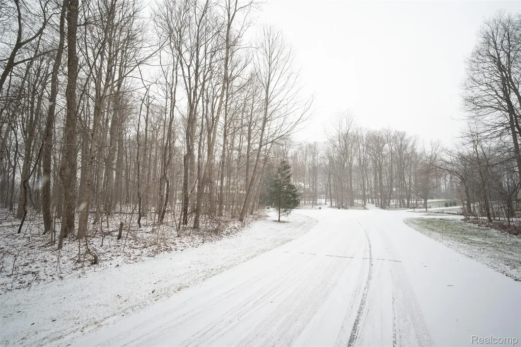 0 Abi Court Salem Township MI 48170