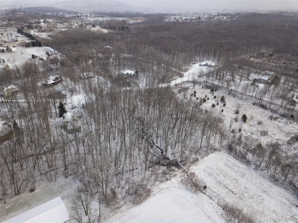 0 Abi Court Salem Township MI 48170