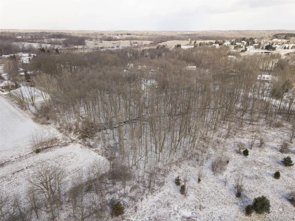 0 Abi Court Salem Township MI 48170