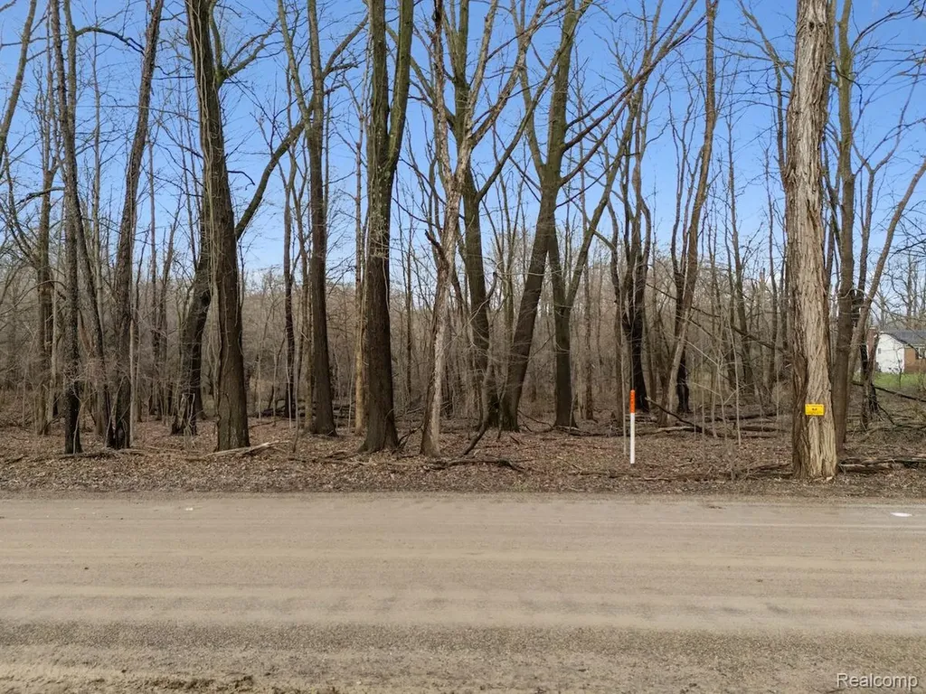 Vl Pingree Road Marion Township MI 48843