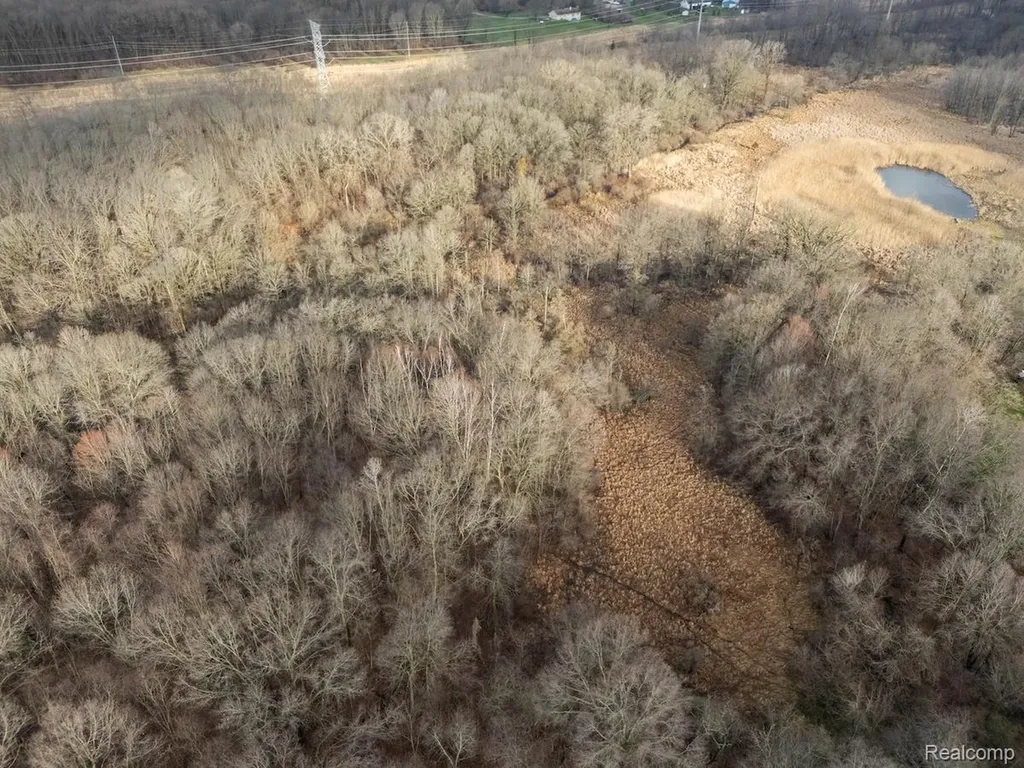 Vl Pingree Road Marion Township MI 48843