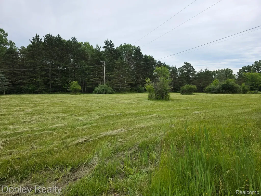 V/l Lorraine Street Marlette City MI 48453