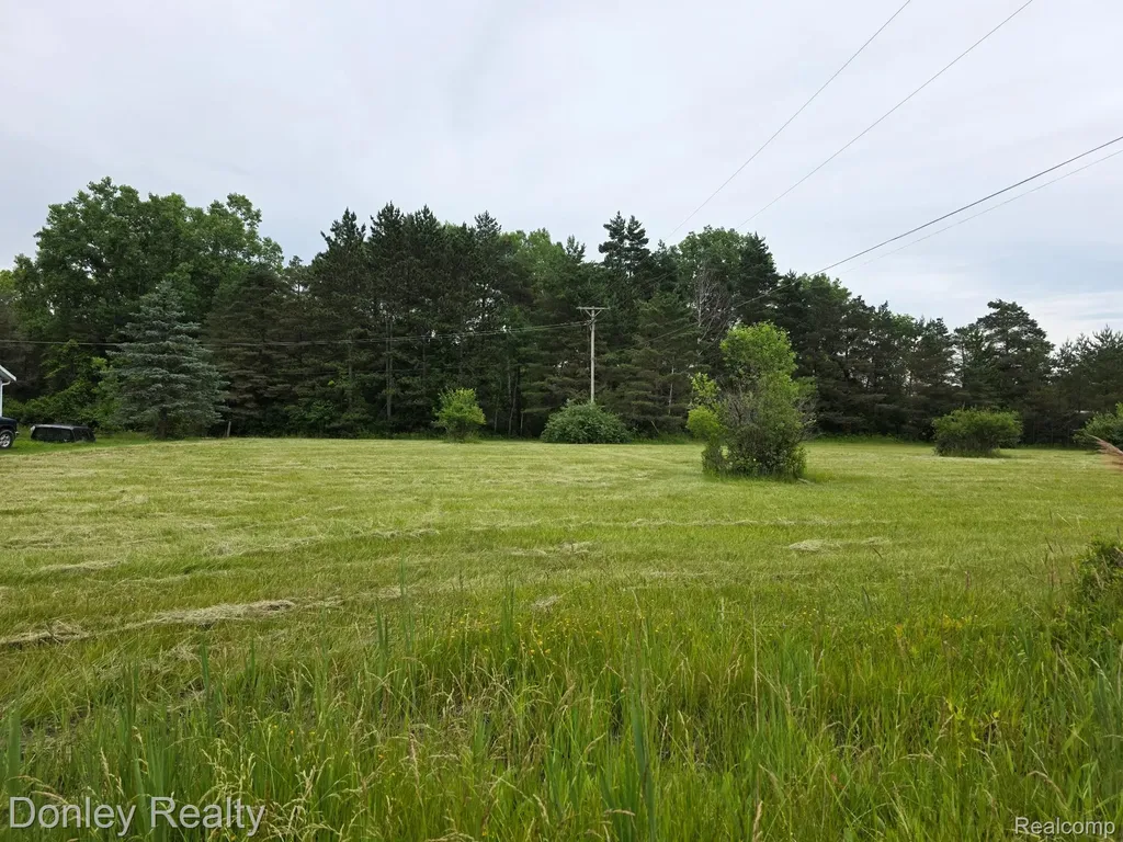 V/l Lorraine Street Marlette City MI 48453