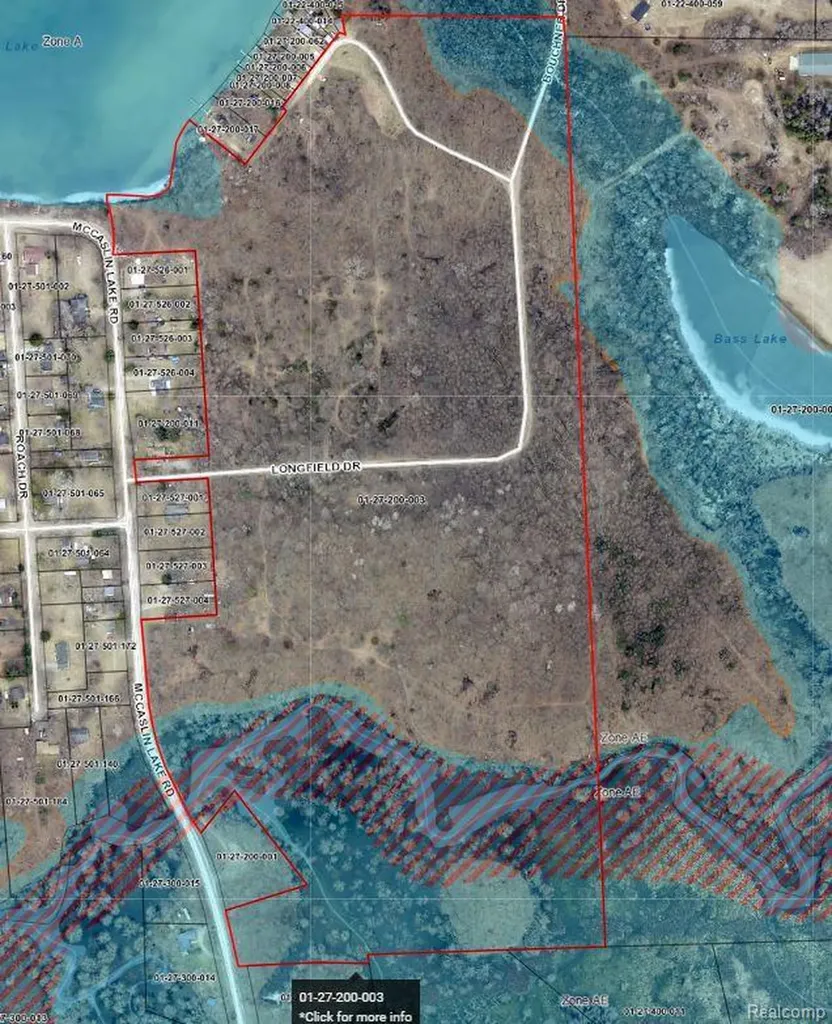 15177 Mccaslin Lake Road Argentine Township MI 48451