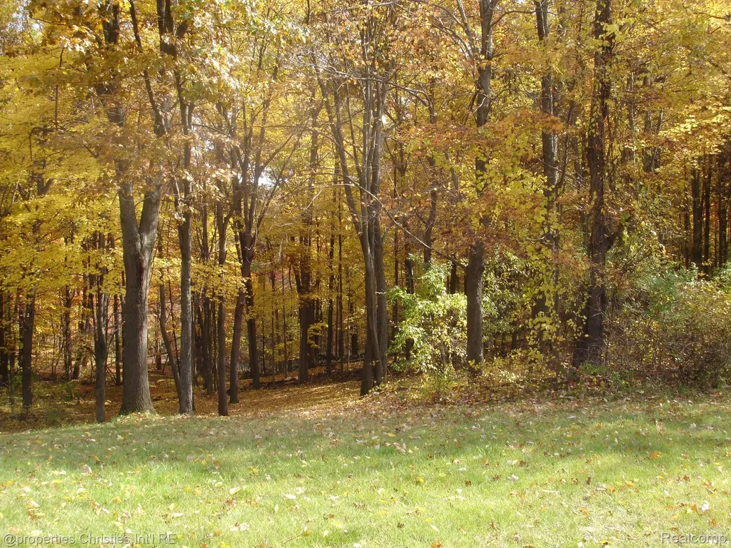 1451 Barrwood Trail Oxford Village MI 48371