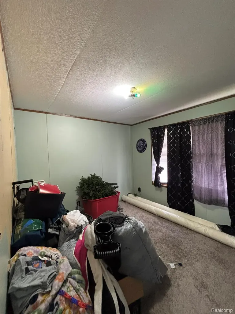 225 W Thornridge Lane Mt. Morris City MI 48458