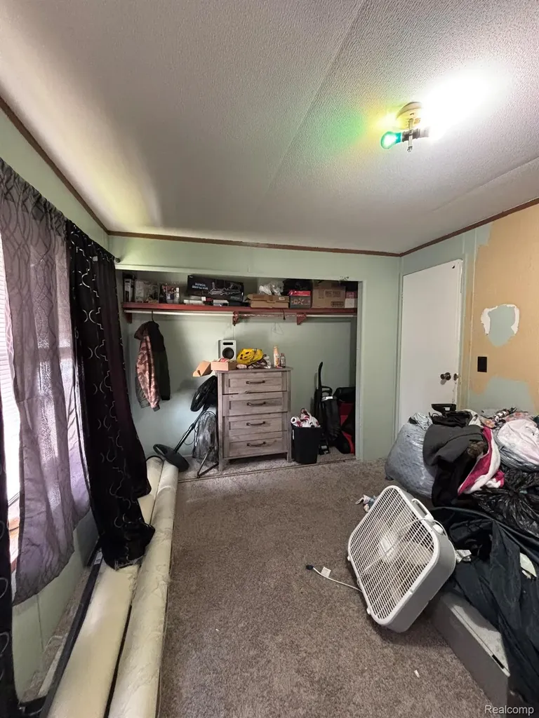 225 W Thornridge Lane Mt. Morris City MI 48458