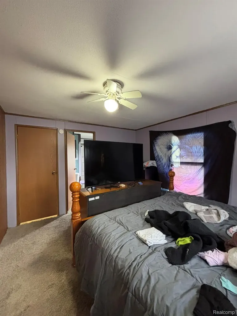 225 W Thornridge Lane Mt. Morris City MI 48458