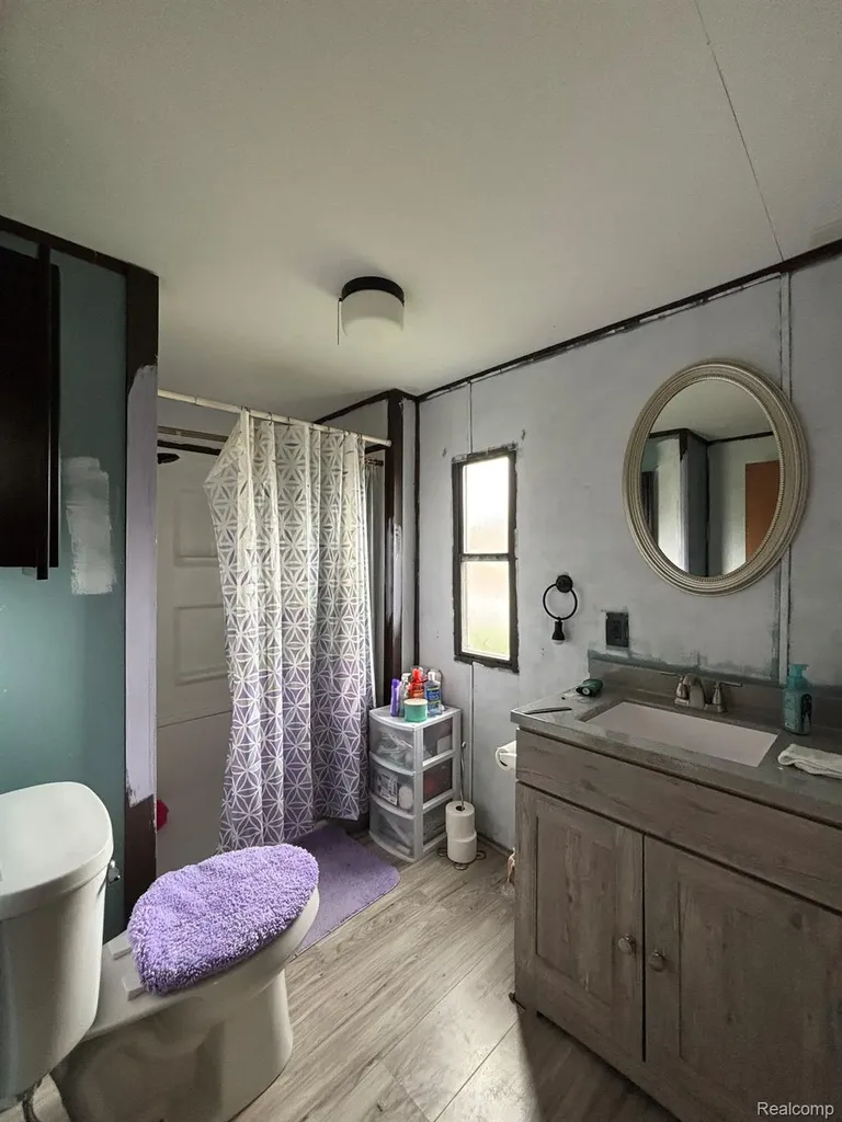 225 W Thornridge Lane Mt. Morris City MI 48458