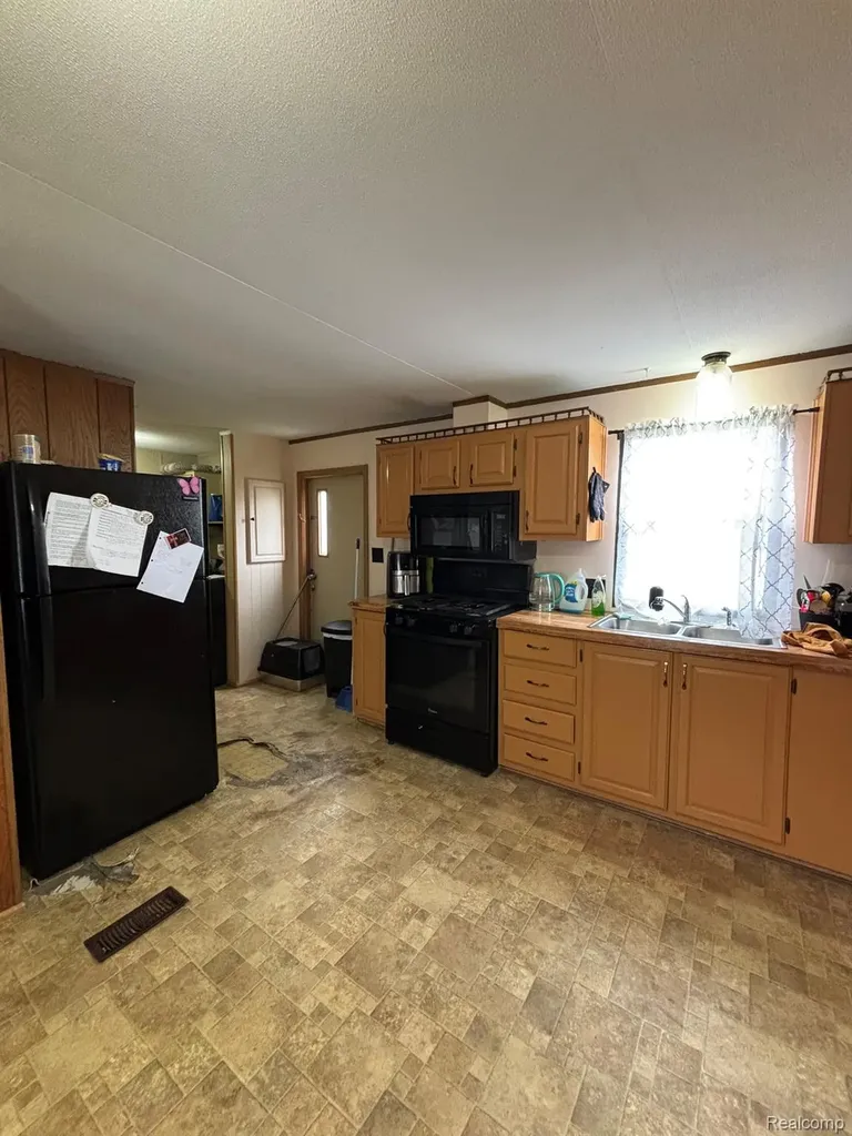 225 W Thornridge Lane Mt. Morris City MI 48458