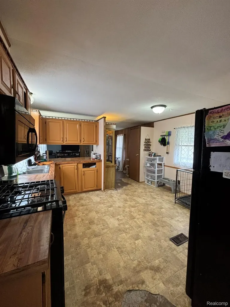 225 W Thornridge Lane Mt. Morris City MI 48458