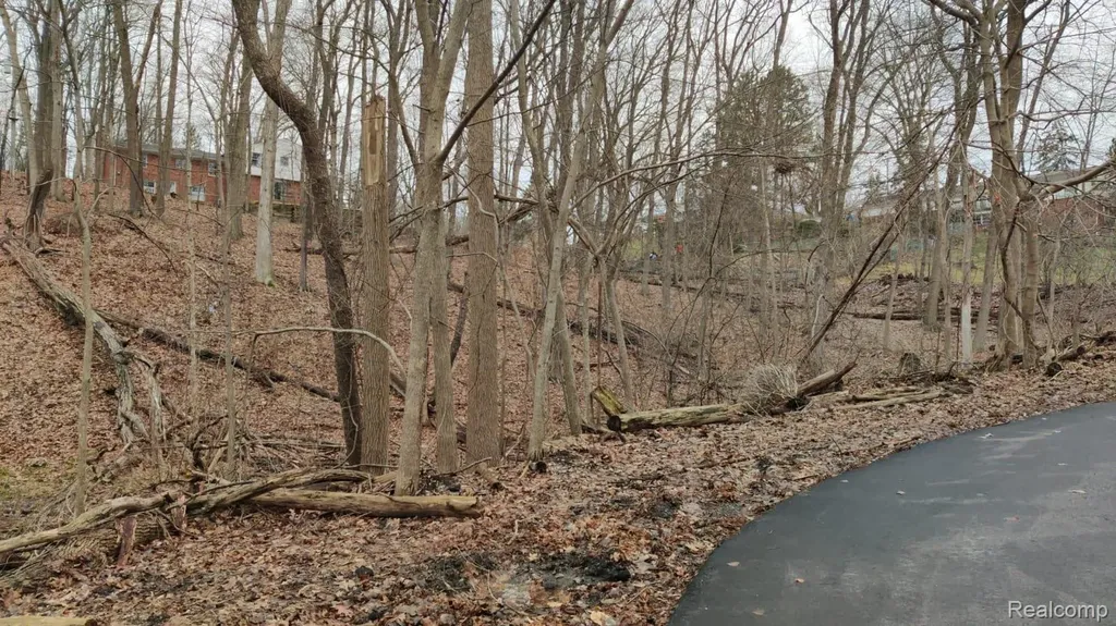 Lot 149 Breer Court Bloomfield Charter Township MI 48302