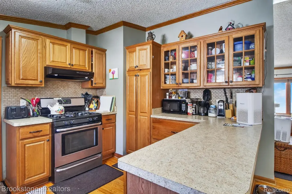 12340 Thomas Street Briley Township MI 49709