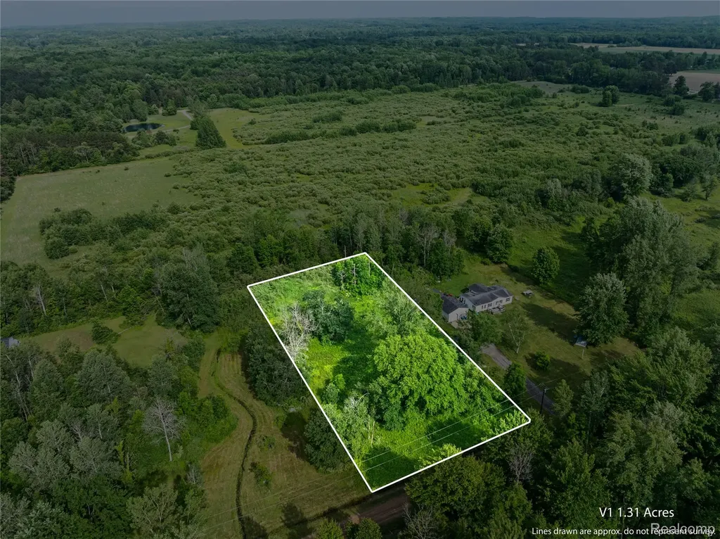 #0078 V/l Natures Nest Road Vassar City MI 48768