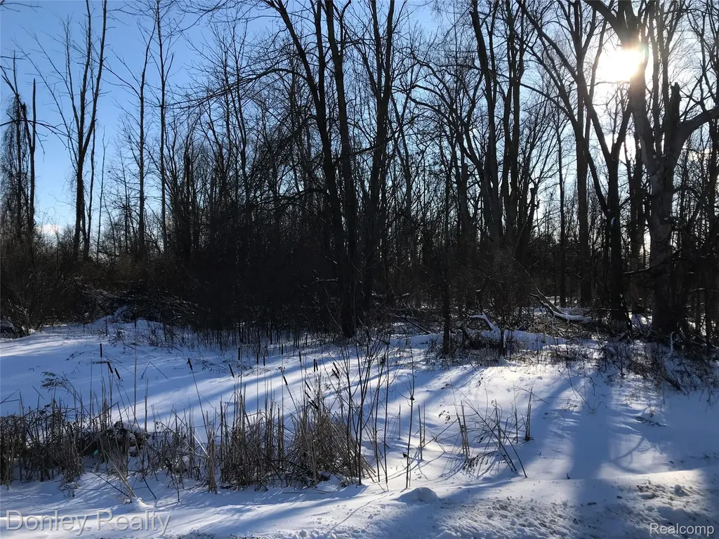 20 Vacant Lots Concord, Cranbrook & Tulane Marlette City MI 48453