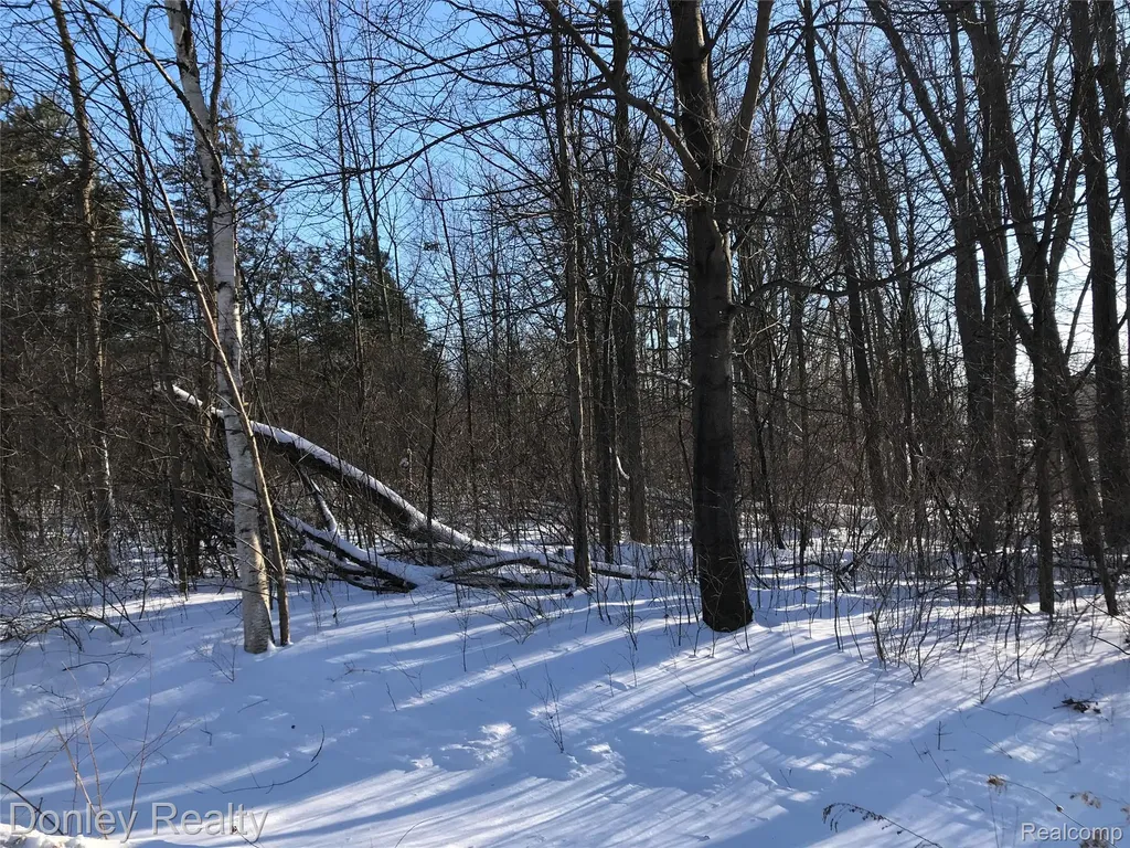 20 Vacant Lots Concord, Cranbrook & Tulane Marlette City MI 48453