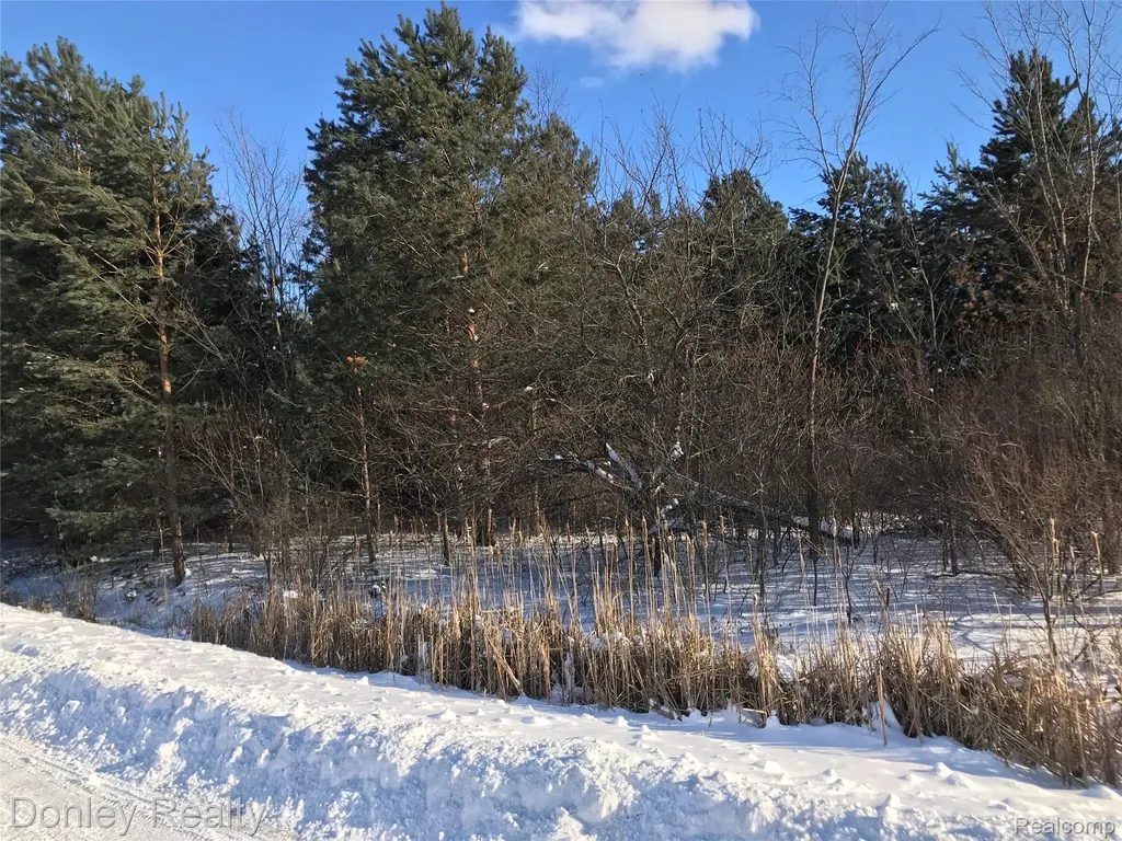 20 Vacant Lots Concord, Cranbrook & Tulane Marlette City MI 48453