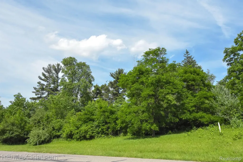 35 Shannon Glen Drive Tyrone Township MI 48430
