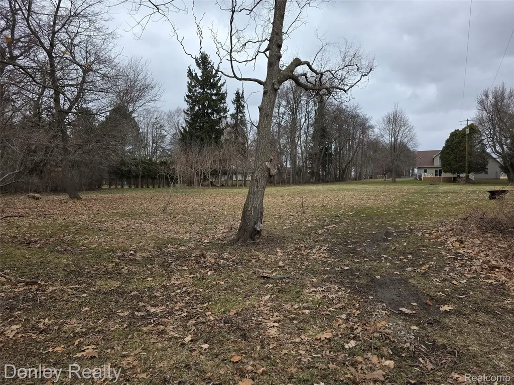 6174 Marlette Street Marlette City MI 48453