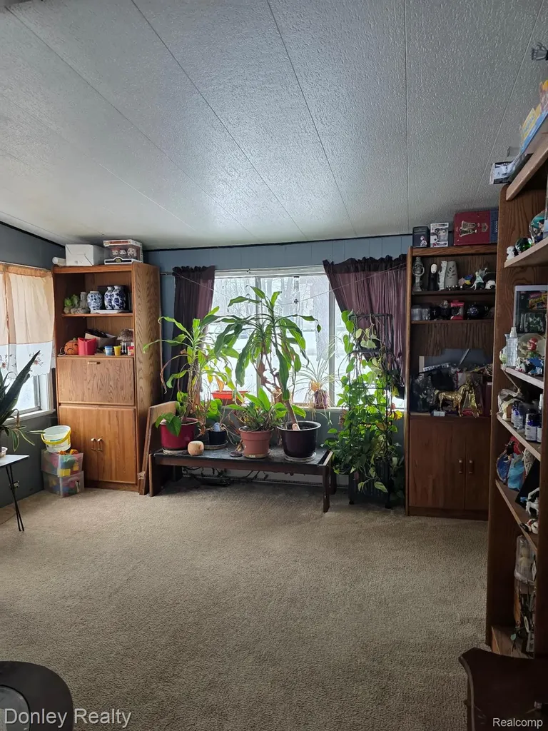 6174 Marlette Street Marlette City MI 48453