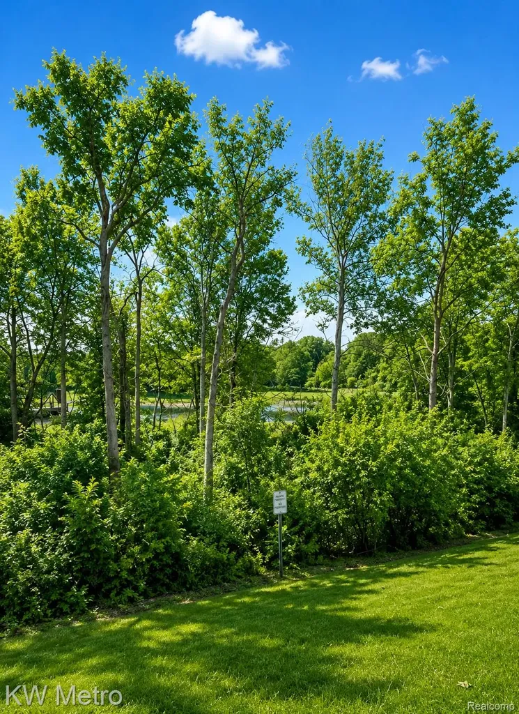11773 Sycamore Drive Plymouth City MI 48170