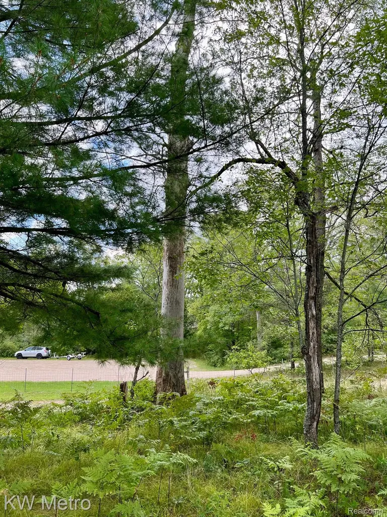 6629 S Tampa Yates Township MI 49642