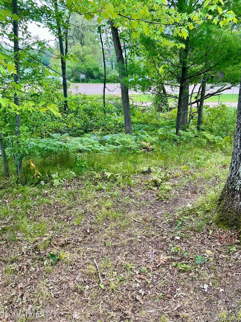 6629 S Tampa Yates Township MI 49642