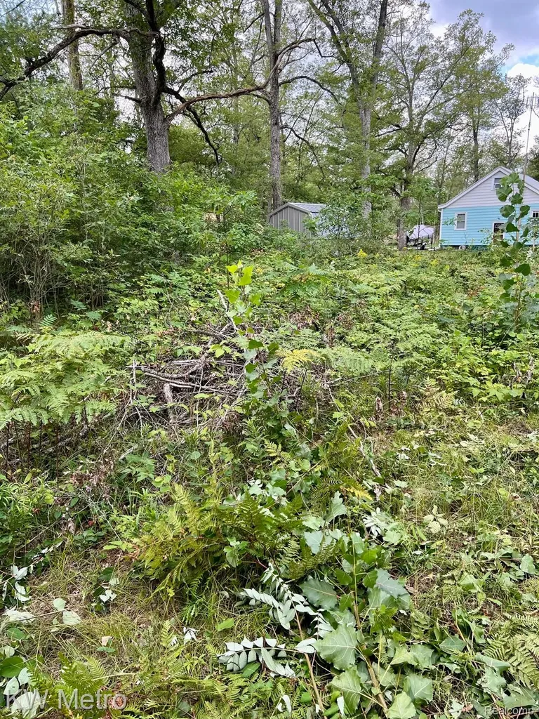 6629 S Tampa Yates Township MI 49642