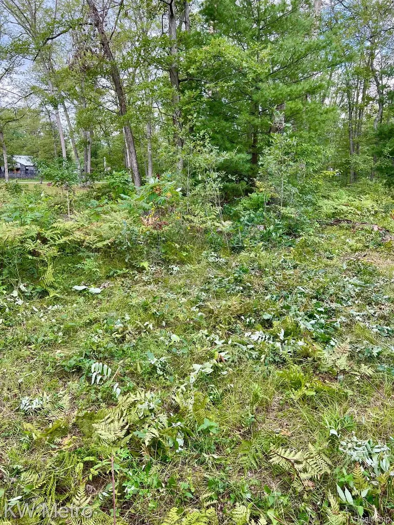 6629 S Tampa Yates Township MI 49642