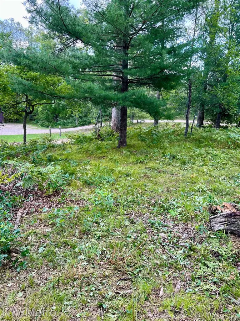 6629 S Tampa Yates Township MI 49642