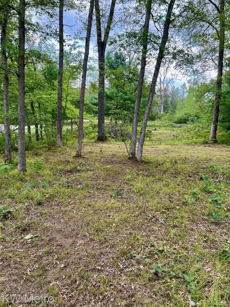 6629 S Tampa Yates Township MI 49642