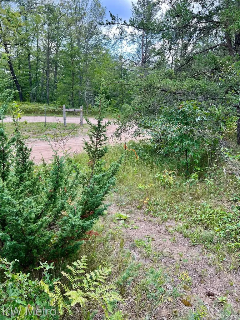 6629 S Tampa Yates Township MI 49642