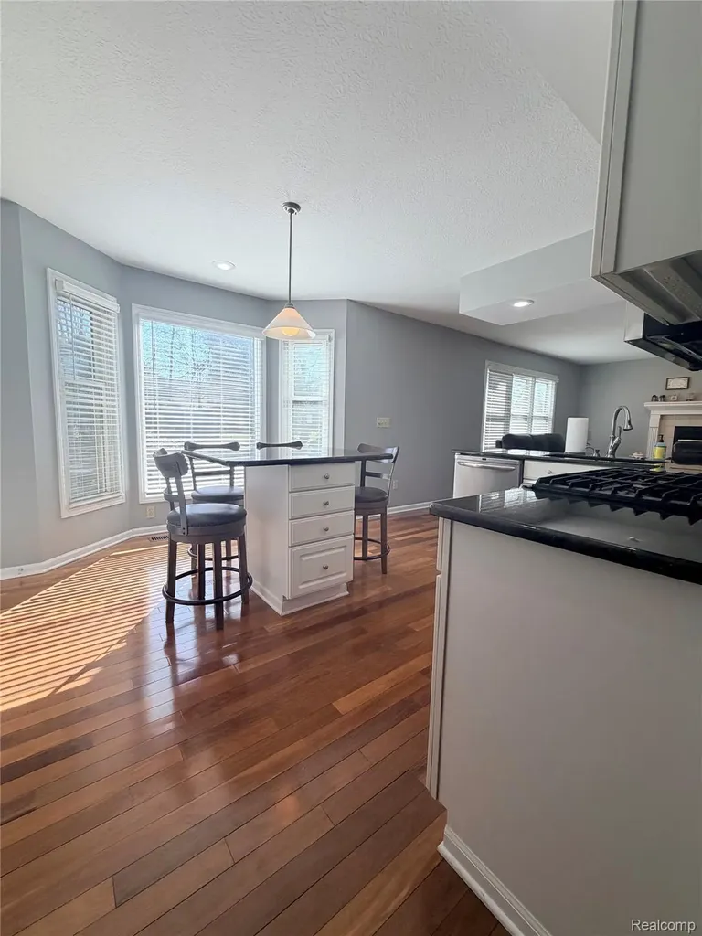 5815 Caleta Drive Delhi Charter Township MI 48911