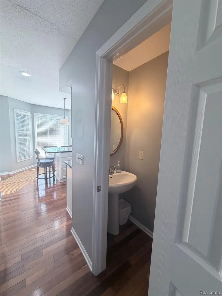 5815 Caleta Drive Delhi Charter Township MI 48911