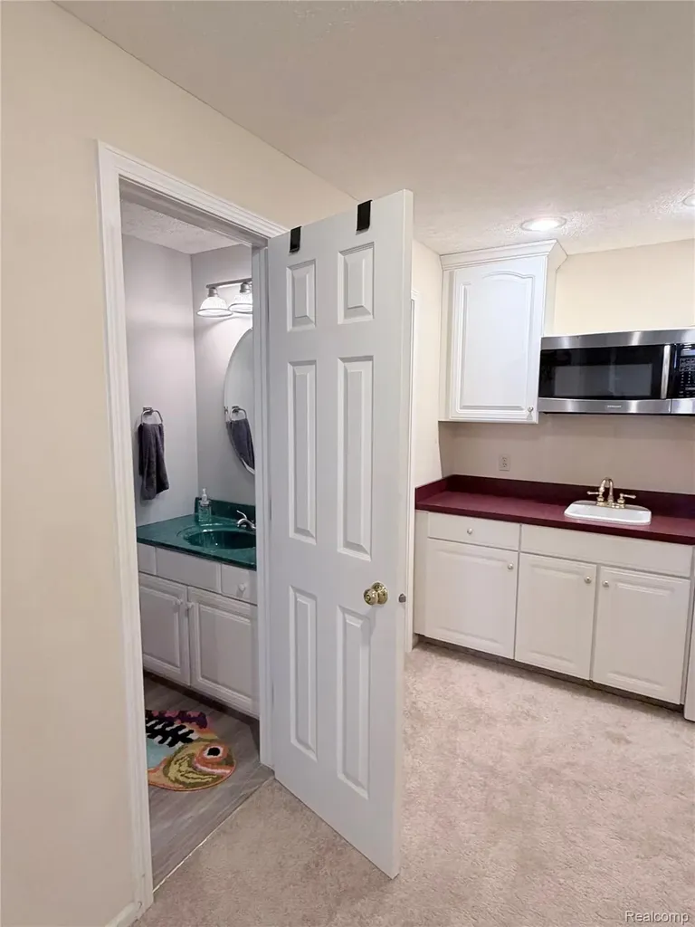 5815 Caleta Drive Delhi Charter Township MI 48911