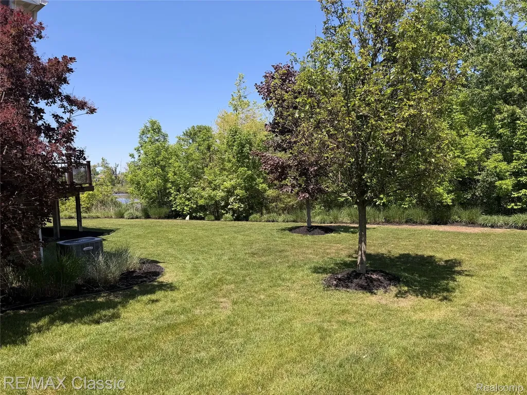 22822 Shepherds Hollow Drive Lyon Charter Township MI 48178