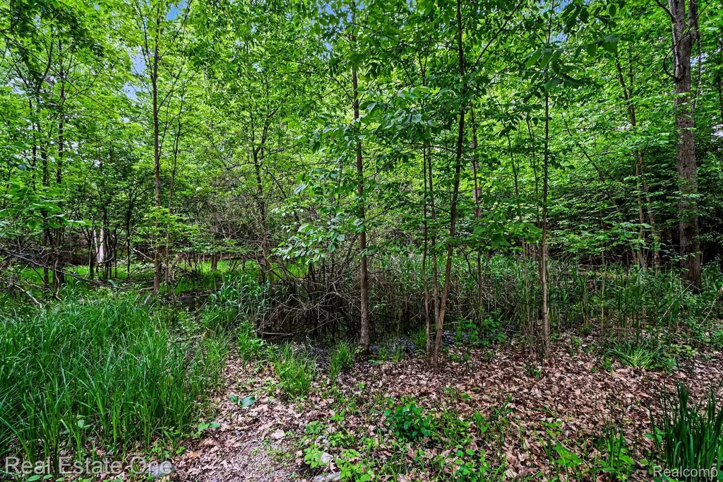 4757 Hardwoods Drive West Bloomfield Charter Township MI 48323
