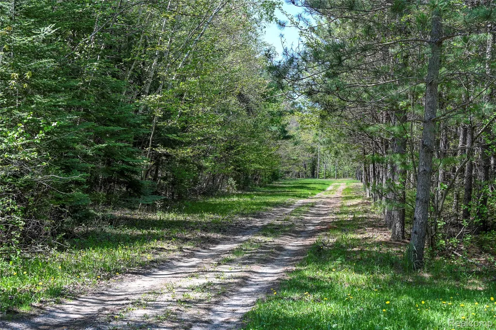 1094 Blamer Road Comins Township MI 48621