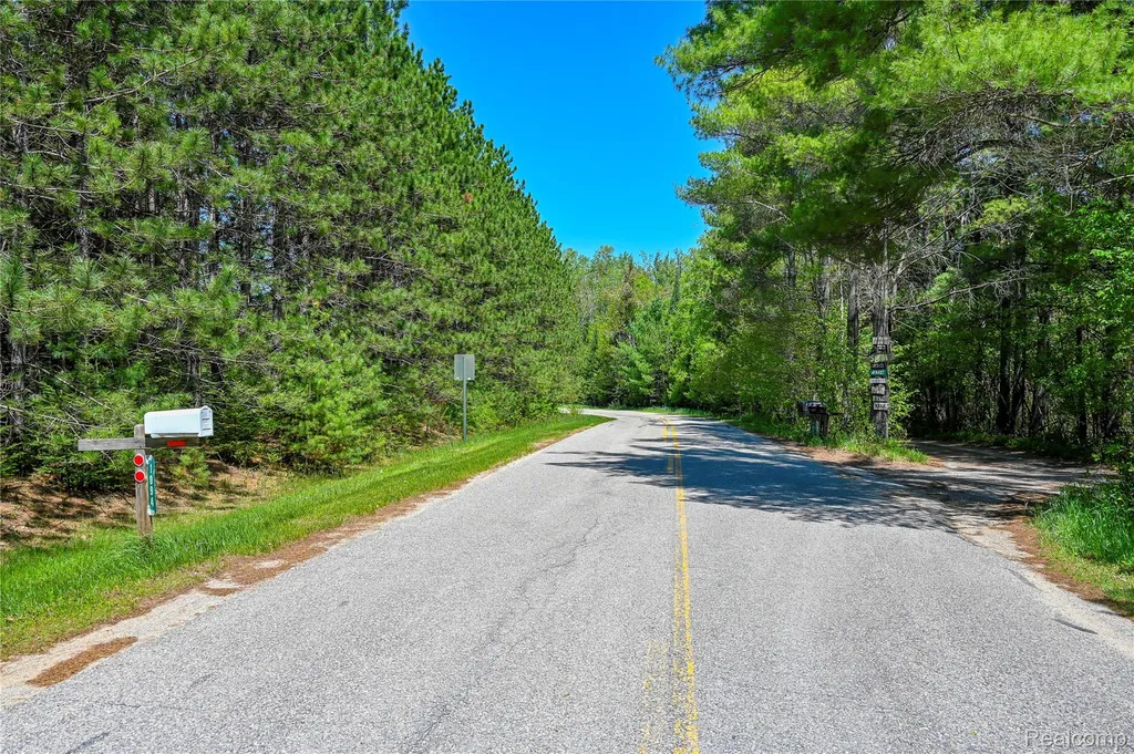 1094 Blamer Road Comins Township MI 48621
