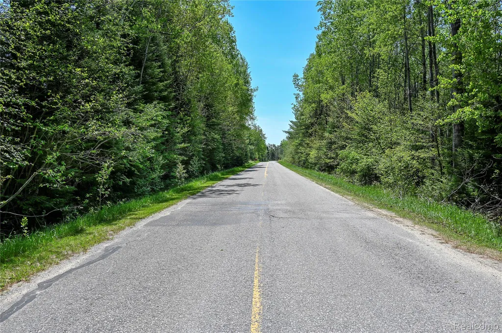 1094 Blamer Road Comins Township MI 48621