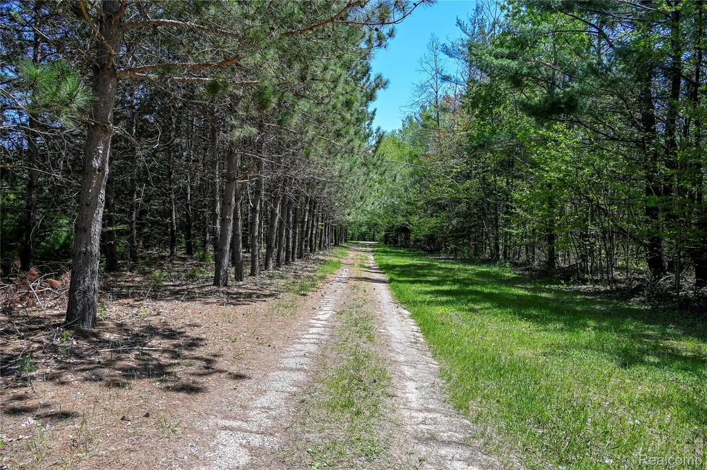 1094 Blamer Road Comins Township MI 48621